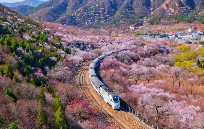 “开往春天的列车”——北京市郊铁路S2线助力市民赏花观景