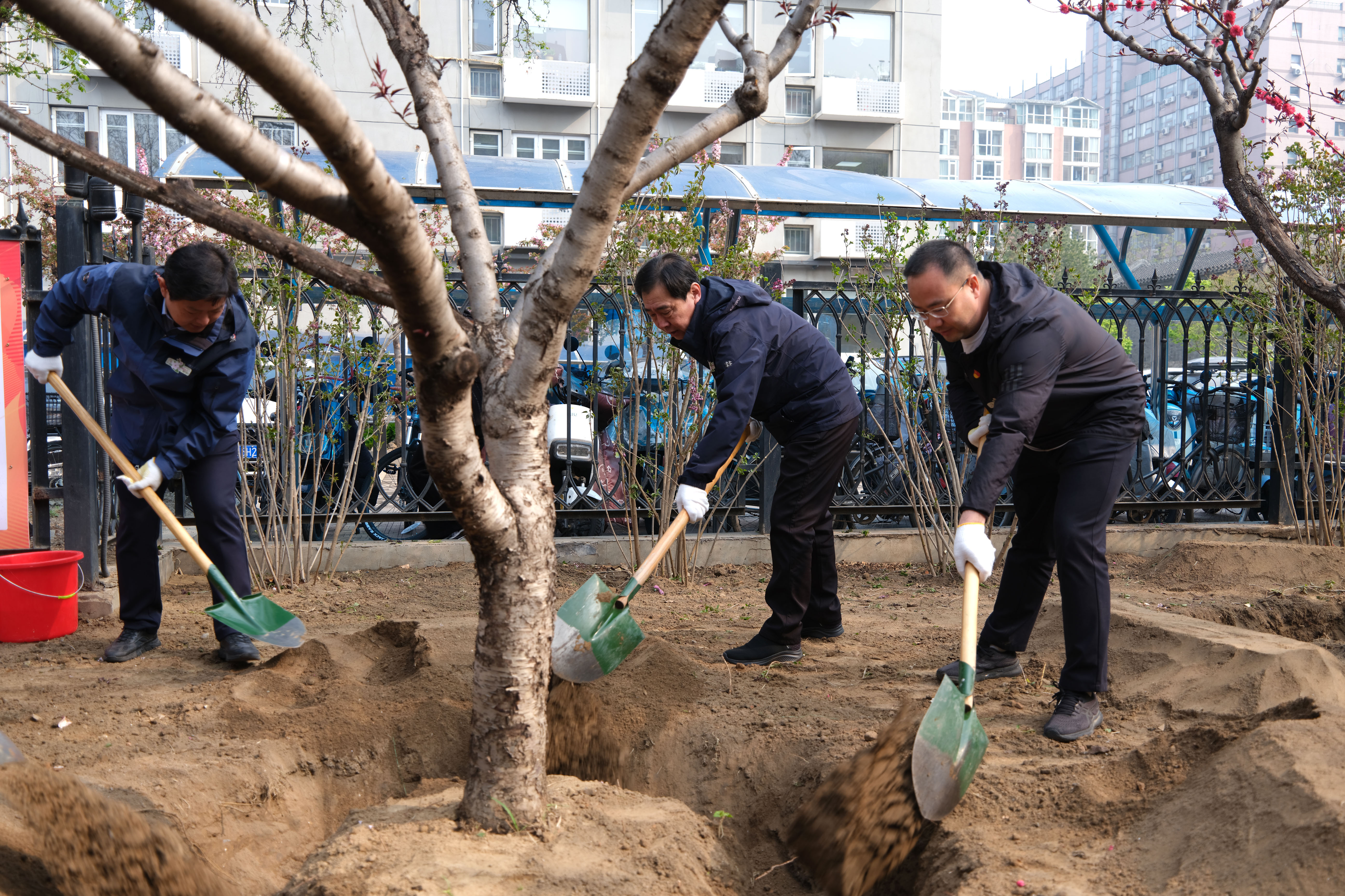 北京市东城区崇文门外街道开展首届植树节活动