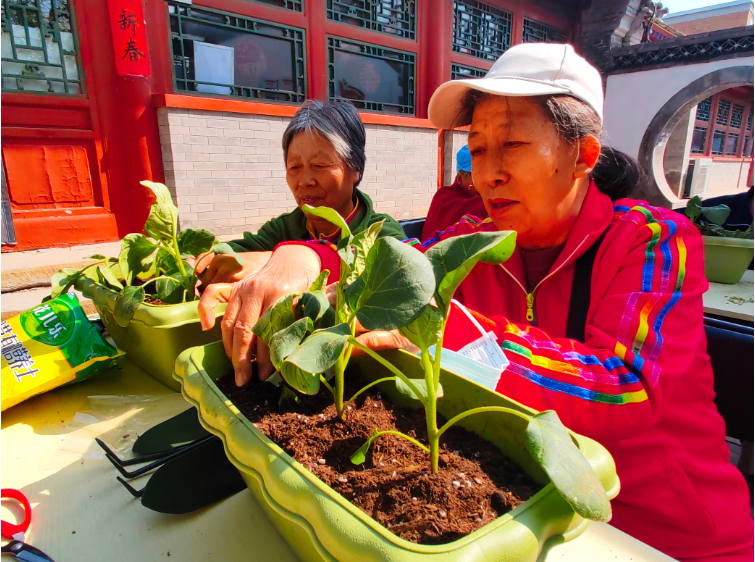北京石景山区模式口村社区开展“雨生百谷，润养万物”—“谷雨”种植体验活动