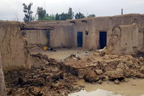 巴基斯坦暴雨灾害致71人死亡