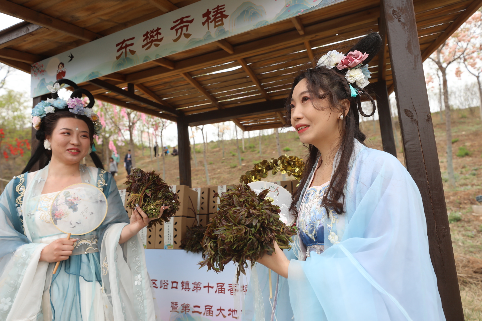 北京市平谷区峪口镇第十届香椿·宝乐文化节开幕