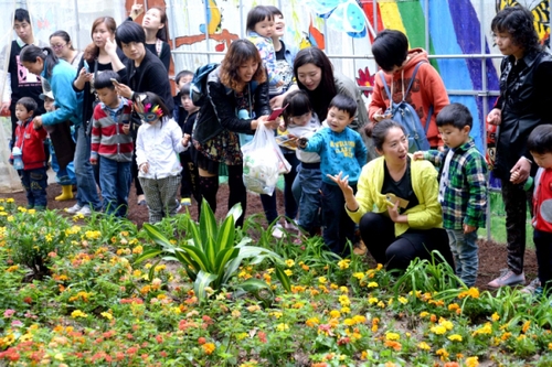 4月27日，游客在“蝴蝶谷”观赏花丛中的蝴蝶。
