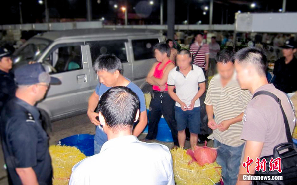 广州警方缴获20吨“毒豆芽”-捣毁四个犯罪窝点-3
