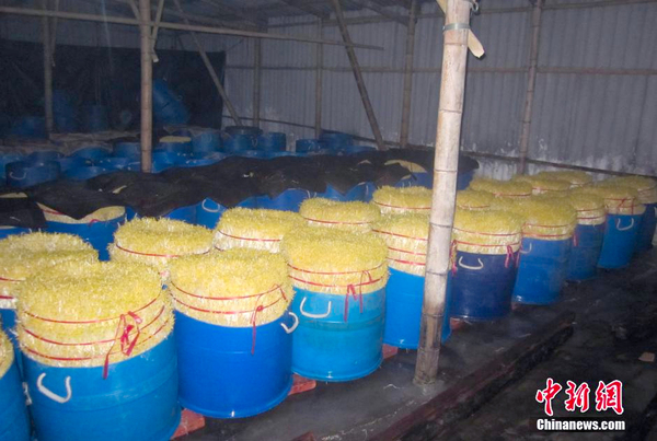 广州警方缴获20吨“毒豆芽”-捣毁四个犯罪窝点-2
