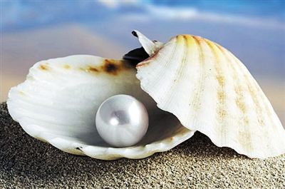南海珍珠