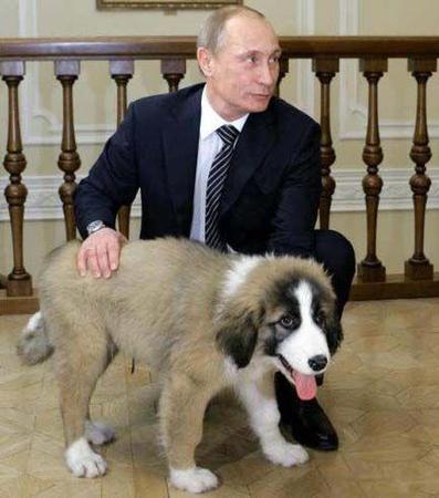 普京与他的爱犬