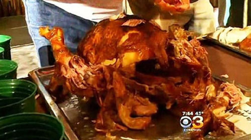 美国大胃王切斯诺10分钟啃掉4.24公斤的火鸡肉。