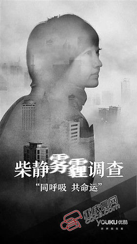 　　纪录片《柴静雾霾调查：穹顶之下》海报。