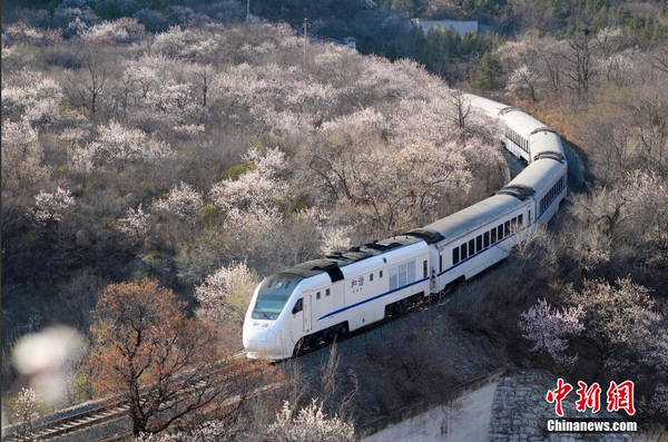 和谐号列车穿越居庸关花海 被赞开往春天的列车5