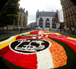 鲜花地毯现身比利时大学城