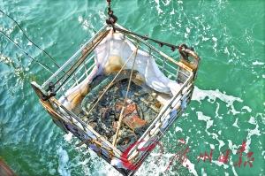 2015年10月4日，“丹东一号”再次出水一批水下文物 这是本次打捞出水的“致远舰”舷窗。　　新华社发