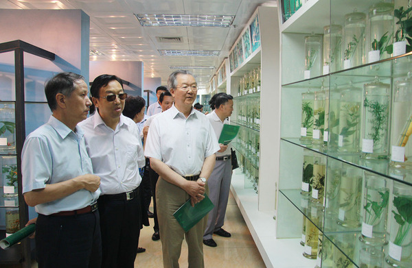 白玛（中）、张文康（右）与安阿玥参观广西中医药大学壮药标本馆。