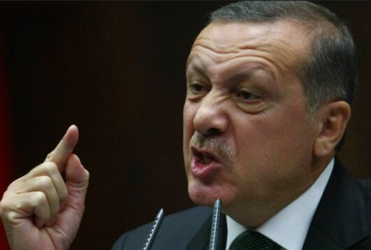 普京下令无限期制裁土耳其