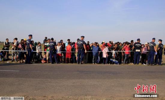 进入匈牙利边境的难民们排队，等候大巴将他们带到匈牙利境内的难民营进行注册登记。