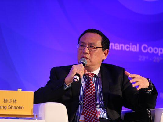 中国财政部官员杨少林出任世界银行常务副行长