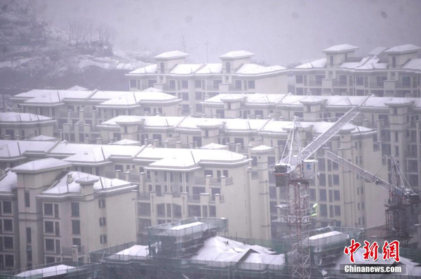 1月23日，重庆主城区迎来罕见大雪天气，一小区绿化带变成了白茫茫的雪地。图为楼顶上积满了白雪。 陈超 摄