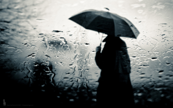 一个人淋雨图片雨中图片