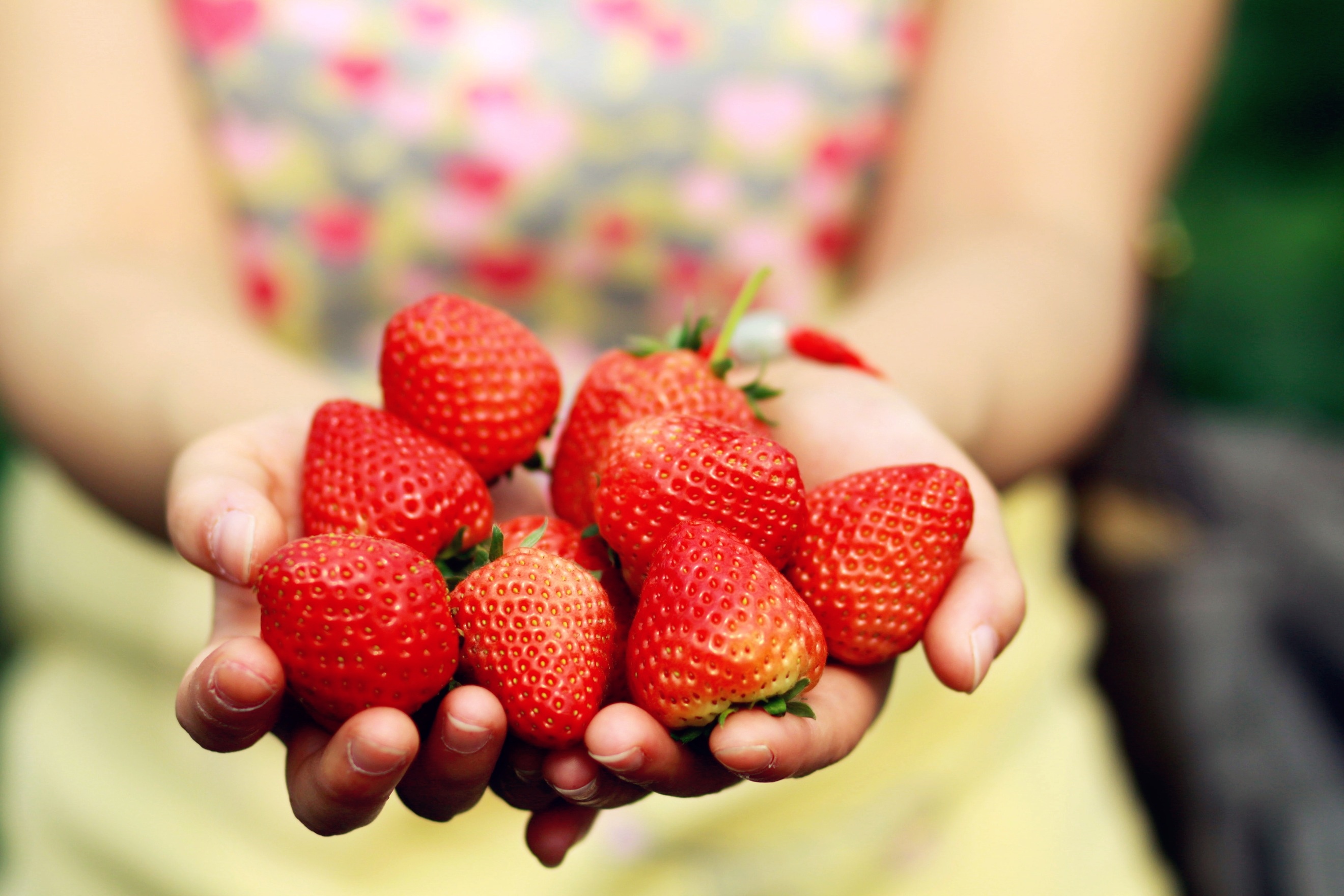草莓的功效与作用 而且含有大量的维生素和膳食纤维 - 学堂在线健康网