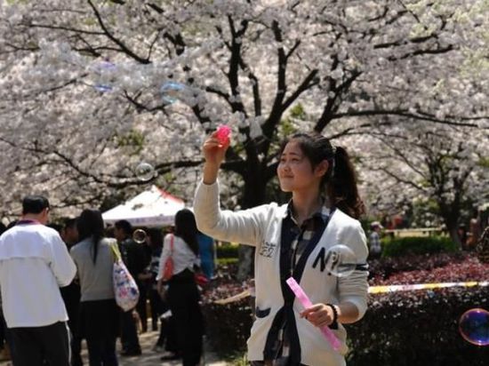 在即将到来的赏樱时节前，武汉大学官方在2月19日发布消息称，今年赏樱将取消门票，实行免费限量参观模式。