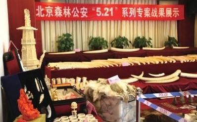 北京破获贩卖象牙案  