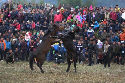 两匹马都双腿站立，激烈格斗，表情狰狞。