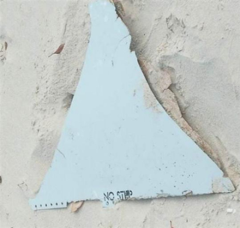 美国游客在莫桑比克发现的疑似飞机残骸。
