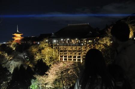 日本京都市的清水寺在春季夜间特别参观正式开始之前进行试亮灯，刚刚开放的樱花与“清水舞台”一同浮现在春天的夜色之中。