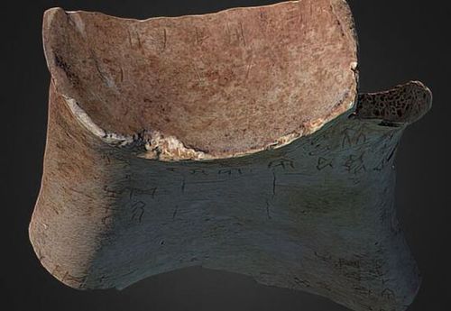 首例3D打印还原甲骨文展出 帮助研究古文