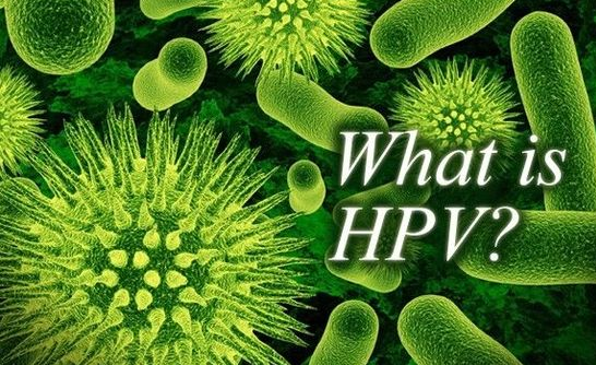 付虹：HPV感染会导致不孕需斥巨资治疗？