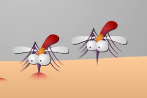 驱蚊八宝：夏季怎样让蚊子自觉远离你？