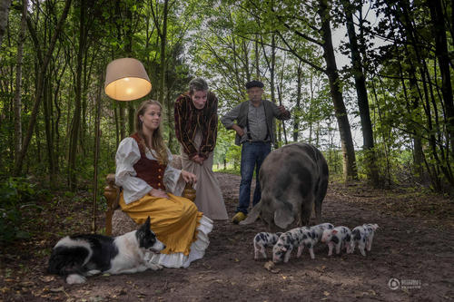 农民家庭在树林与猪、狗拍摄合影。