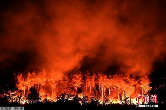 法国南部森林大火肆虐 局地遇近20年最严重灾情