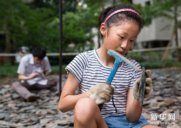 8月21日，一名小朋友在南京古生物博物馆参加“砸化石”活动。