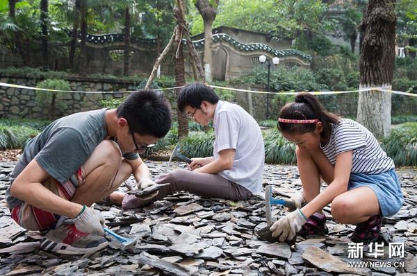 8月21日，市民在南京古生物博物馆参加“砸化石”活动。1