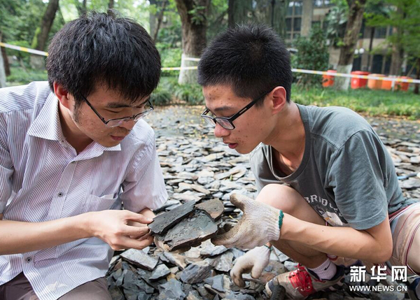 8月21日，市民在南京古生物博物馆参加“砸化石”活动。