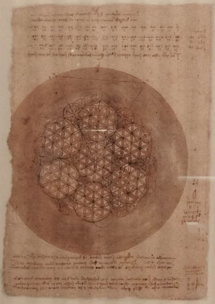 星形图案 达芬奇 1517-1518