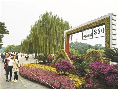 26组公园国庆花坛周末亮相用花量近160万盆