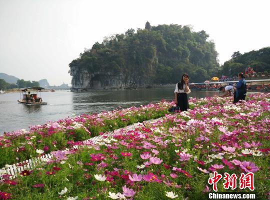 10月6日，游客在桂林城徽象山景区游玩。　欧惠兰 摄