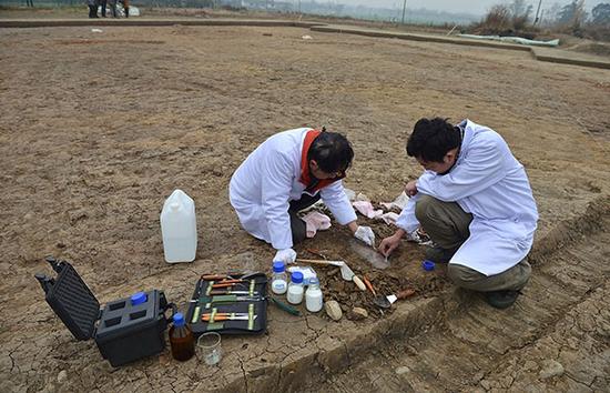 广汉三星堆遗址发掘现场，考古人员对文物出土部分进行清洗加固处理。