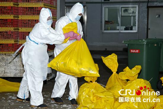 澳门民政总署人员在南粤批发市场实行封锁、消毒，以及扑杀家禽等一系列防控禽流感病毒措施。