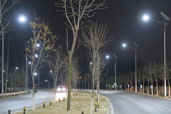二、北京博龙阳光新能源高科技开发有限公司生产的绿色节能“低碳”LED照明灯，让郊区乡间公路、新农村等角落亮如白昼，深受欢迎。 新华社记者  李明放  摄影 (2)