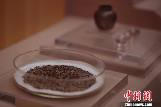 百余件“千年古港”文物精品在上海博物馆展出