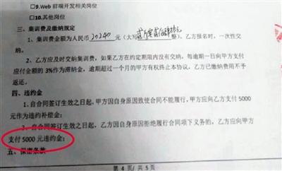 王小姐与卓新智趣签订的集训协议，中途退学违约金为5000元。