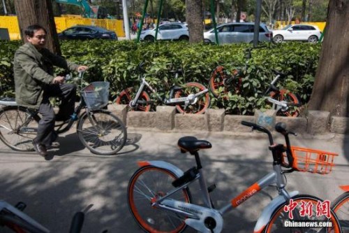 南京一慢车道遭遇共享单车“占领”。<a target='_blank' href='http://www.chinanews.com/'>中新社</a>记者 泱波 摄