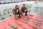 广西防城港边防查获537件鳄鱼制品
