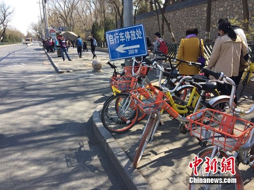 共享单车越来越多，出现在大街小巷。<a target='_blank' href='http://www.chinanews.com/' >中新网</a> 吴涛 摄