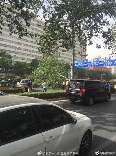 北京海淀一路人被大风刮落的坠物砸中头部身亡