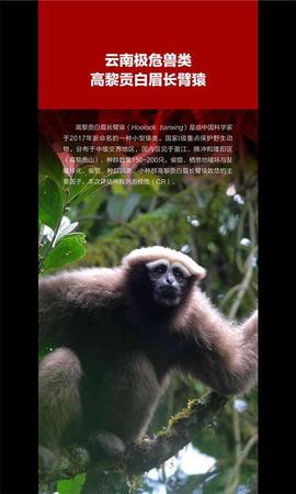 云南发首个省级物种红色名录 2625种生存受威胁