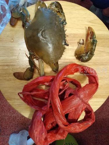 蟹“困”吸水绳 虾“忙”成网红 探访虾蟹市场