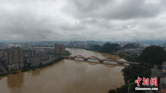 资料图：7月3日，因受连日暴雨影响，广西柳江河柳州段出现超警戒水位。 王以照 摄